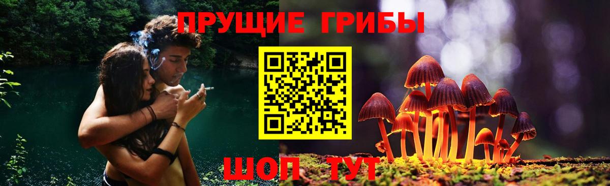 Михайловск  Псилоцибиновые грибы MAGIC MUSHROOMS  Вход с VPN 