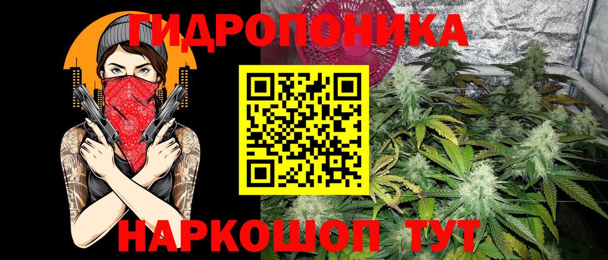 Михайловск  Бошки Шишки план  Шишки марихуана White Widow  Вход с VPN  Конопля VHQ 